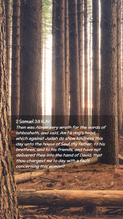 Picture 02 - 2 Samuel 3:8 KJV Mobile Phone Wallpaper - Then was Abner very wroth for the words of - Mobile Bible Verse Wallpaper