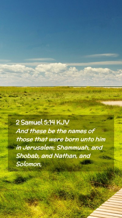 Picture 02 - 2 Samuel 5:14 KJV Mobile Phone Wallpaper - And these be the names of those that were born - Mobile Bible Verse Wallpaper