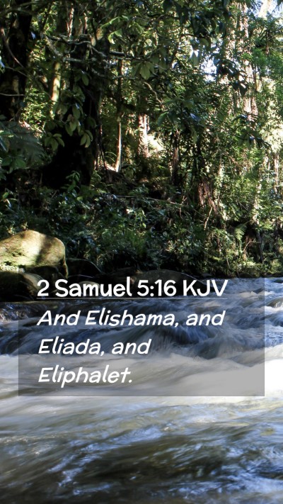 Picture 02 - 2 Samuel 5:16 KJV Mobile Phone Wallpaper - And Elishama, and Eliada, and - Mobile Bible Verse Wallpaper