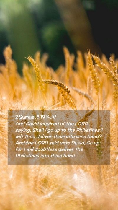 Picture 02 - 2 Samuel 5:19 KJV Mobile Phone Wallpaper - And David inquired of the LORD, saying, Shall I - Mobile Bible Verse Wallpaper