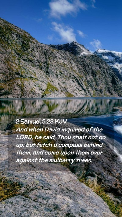 Picture 02 - 2 Samuel 5:23 KJV Mobile Phone Wallpaper - And when David inquired of the LORD, he said, - Mobile Bible Verse Wallpaper