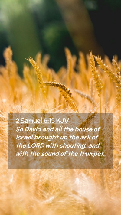 Picture 02 - 2 Samuel 6:15 KJV Mobile Phone Wallpaper - So David and all the house of Israel brought up - Mobile Bible Verse Wallpaper