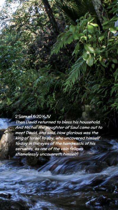 Picture 02 - 2 Samuel 6:20 KJV Mobile Phone Wallpaper - Then David returned to bless his household. And - Mobile Bible Verse Wallpaper