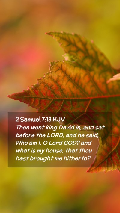 Picture 02 - 2 Samuel 7:18 KJV Mobile Phone Wallpaper - Then went king David in, and sat before the LORD, - Mobile Bible Verse Wallpaper