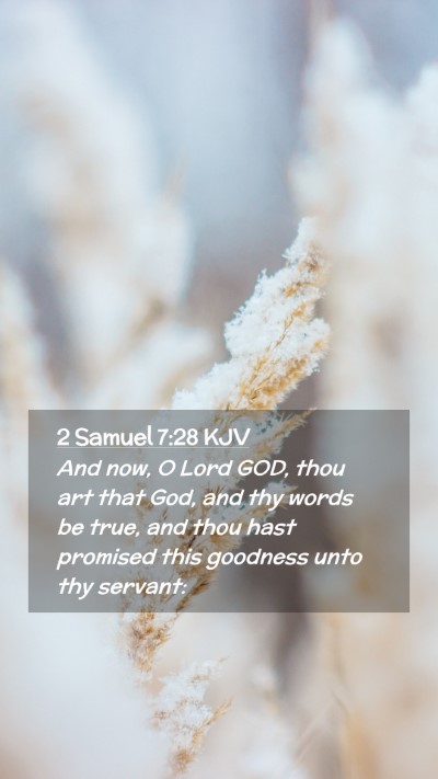Picture 02 - 2 Samuel 7:28 KJV Mobile Phone Wallpaper - And now, O Lord GOD, thou art that God, and thy - Mobile Bible Verse Wallpaper