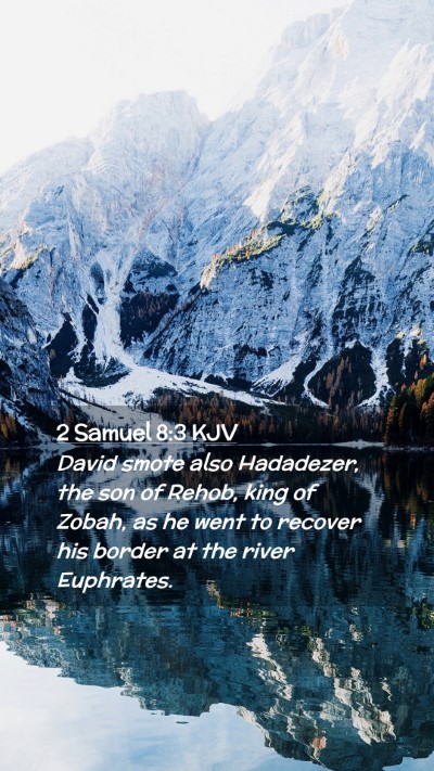 Picture 02 - 2 Samuel 8:3 KJV Mobile Phone Wallpaper - David smote also Hadadezer, the son of Rehob, - Mobile Bible Verse Wallpaper