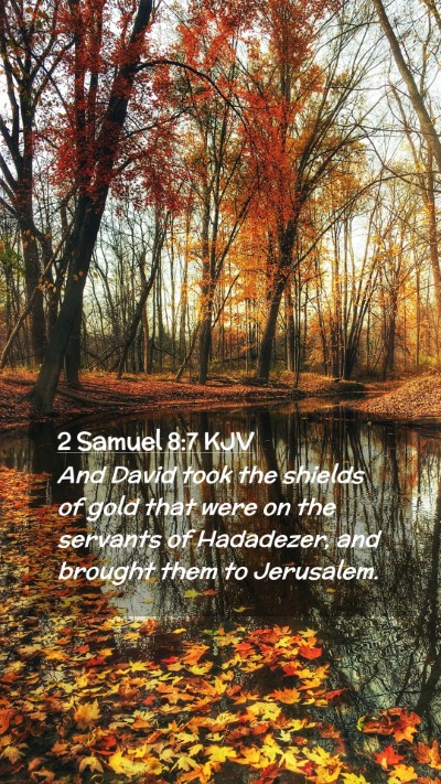 Picture 02 - 2 Samuel 8:7 KJV Mobile Phone Wallpaper - And David took the shields of gold that were on - Mobile Bible Verse Wallpaper