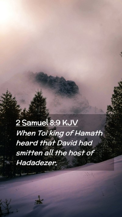Picture 02 - 2 Samuel 8:9 KJV Mobile Phone Wallpaper - When Toi king of Hamath heard that David had - Mobile Bible Verse Wallpaper