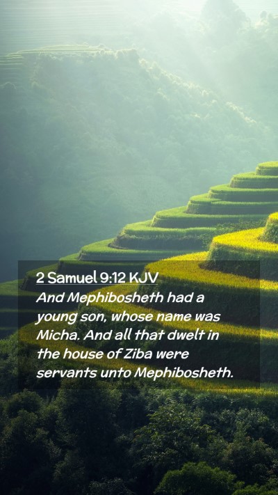 Picture 02 - 2 Samuel 9:12 KJV Mobile Phone Wallpaper - And Mephibosheth had a young son, whose name was - Mobile Bible Verse Wallpaper