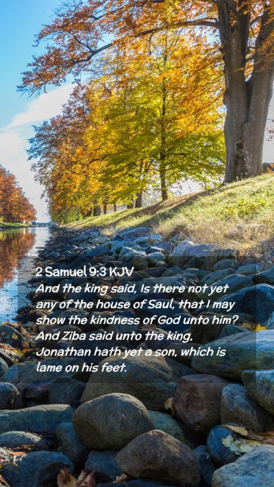 Picture 02 - 2 Samuel 9:3 KJV Mobile Phone Wallpaper - And the king said, Is there not yet any of the - Mobile Bible Verse Wallpaper