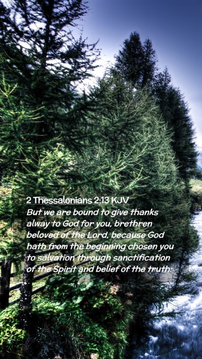 Picture 02 - 2 Thessalonians 2:13 KJV Mobile Phone Wallpaper - But we are bound to give thanks alway to God for - Mobile Bible Verse Wallpaper
