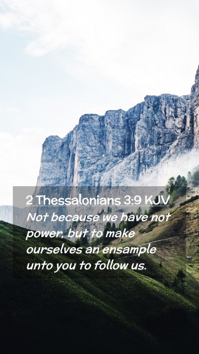Picture 02 - 2 Thessalonians 3:9 KJV Mobile Phone Wallpaper - Not because we have not power, but to make - Mobile Bible Verse Wallpaper