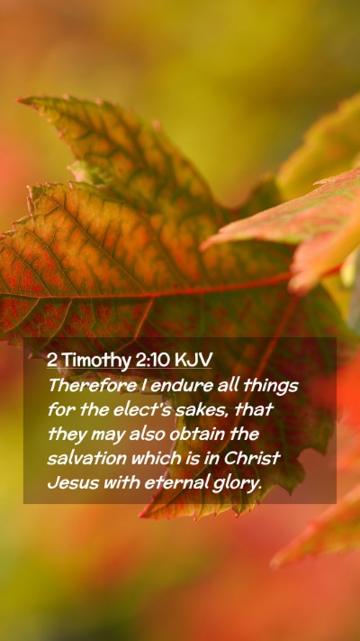 Picture 02 - 2 Timothy 2:10 KJV Mobile Phone Wallpaper - Therefore I endure all things for the elect's - Mobile Bible Verse Wallpaper