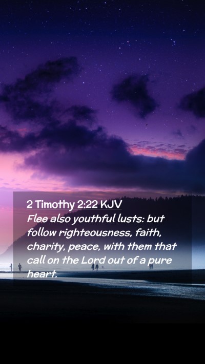 Picture 02 - 2 Timothy 2:22 KJV Mobile Phone Wallpaper - Flee also youthful lusts: but follow - Mobile Bible Verse Wallpaper