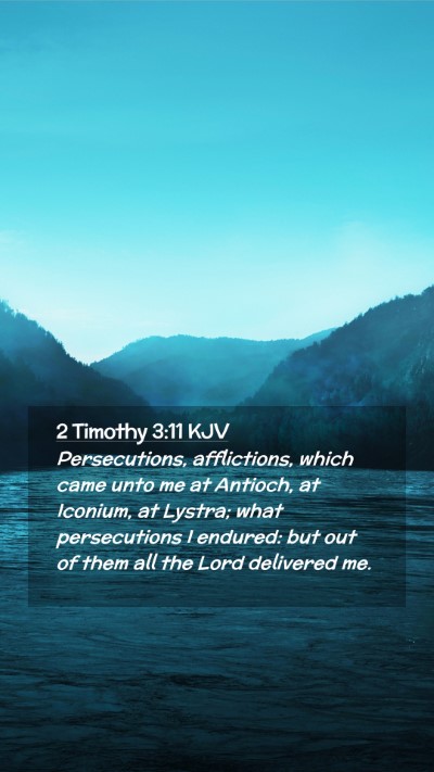 Picture 02 - 2 Timothy 3:11 KJV Mobile Phone Wallpaper - Persecutions, afflictions, which came unto me at - Mobile Bible Verse Wallpaper
