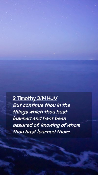 Picture 02 - 2 Timothy 3:14 KJV Mobile Phone Wallpaper - But continue thou in the things which thou hast - Mobile Bible Verse Wallpaper