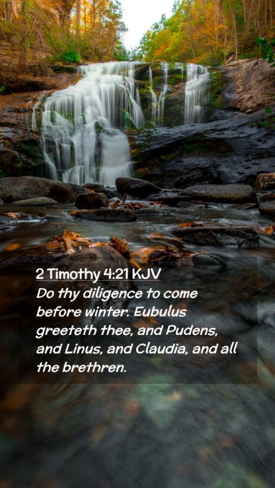 Picture 02 - 2 Timothy 4:21 KJV Mobile Phone Wallpaper - Do thy diligence to come before winter. Eubulus - Mobile Bible Verse Wallpaper