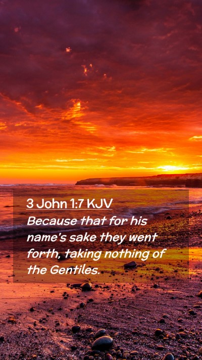 Picture 02 - 3 John 1:7 KJV Mobile Phone Wallpaper - Because that for his name's sake they went forth, - Mobile Bible Verse Wallpaper
