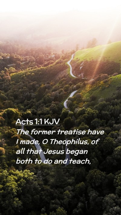 Picture 02 - Acts 1:1 KJV Mobile Phone Wallpaper - The former treatise have I made, O Theophilus, of - Mobile Bible Verse Wallpaper