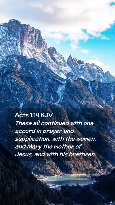 Picture 02 - Acts 1:14 KJV Mobile Phone Wallpaper - These all continued with one accord in prayer and - Mobile Bible Verse Wallpaper