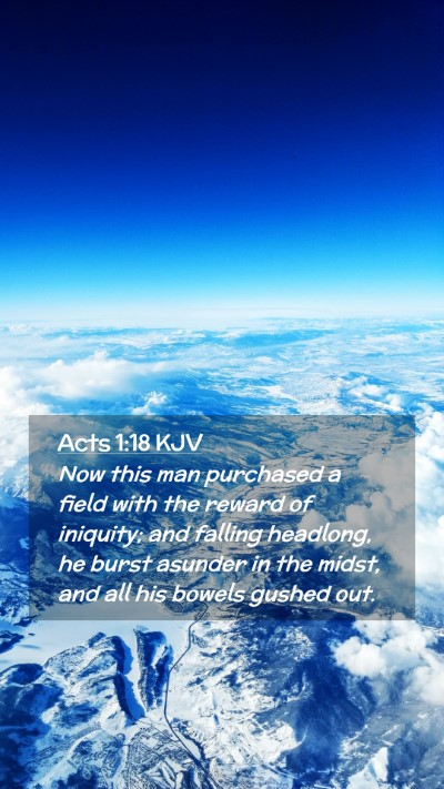 Picture 02 - Acts 1:18 KJV Mobile Phone Wallpaper - Now this man purchased a field with the reward of - Mobile Bible Verse Wallpaper