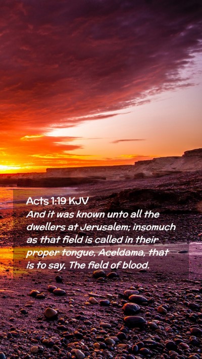 Picture 02 - Acts 1:19 KJV Mobile Phone Wallpaper - And it was known unto all the dwellers at - Mobile Bible Verse Wallpaper