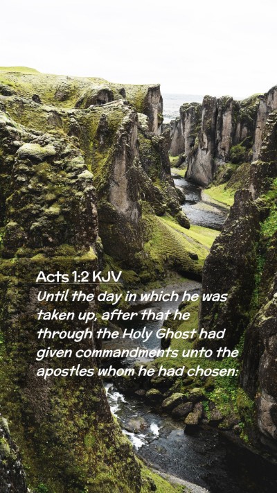 Picture 02 - Acts 1:2 KJV Mobile Phone Wallpaper - Until the day in which he was taken up, after - Mobile Bible Verse Wallpaper