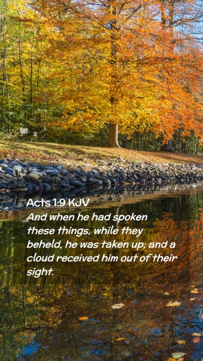 Picture 02 - Acts 1:9 KJV Mobile Phone Wallpaper - And when he had spoken these things, while they - Mobile Bible Verse Wallpaper