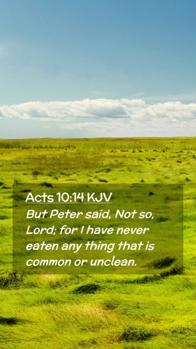 Picture 02 - Acts 10:14 KJV Mobile Phone Wallpaper - But Peter said, Not so, Lord; for I have never - Mobile Bible Verse Wallpaper