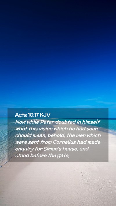 Picture 02 - Acts 10:17 KJV Mobile Phone Wallpaper - Now while Peter doubted in himself what this - Mobile Bible Verse Wallpaper