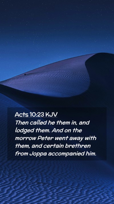 Picture 02 - Acts 10:23 KJV Mobile Phone Wallpaper - Then called he them in, and lodged them. And on - Mobile Bible Verse Wallpaper