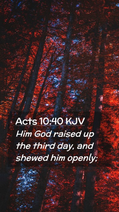 Picture 02 - Acts 10:40 KJV Mobile Phone Wallpaper - Him God raised up the third day, and shewed him - Mobile Bible Verse Wallpaper