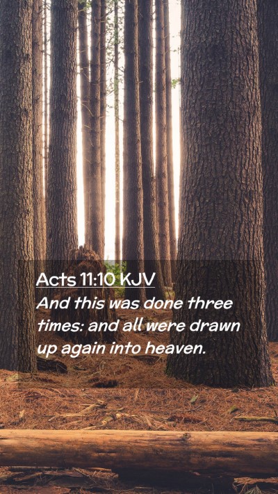 Picture 02 - Acts 11:10 KJV Mobile Phone Wallpaper - And this was done three times: and all were drawn - Mobile Bible Verse Wallpaper