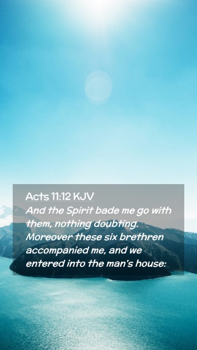 Picture 02 - Acts 11:12 KJV Mobile Phone Wallpaper - And the Spirit bade me go with them, nothing - Mobile Bible Verse Wallpaper