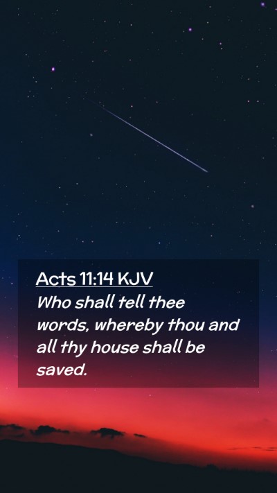 Picture 02 - Acts 11:14 KJV Mobile Phone Wallpaper - Who shall tell thee words, whereby thou and all - Mobile Bible Verse Wallpaper