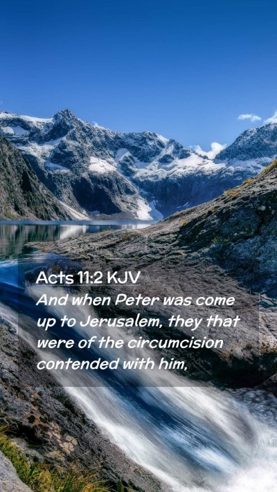 Picture 02 - Acts 11:2 KJV Mobile Phone Wallpaper - And when Peter was come up to Jerusalem, they - Mobile Bible Verse Wallpaper