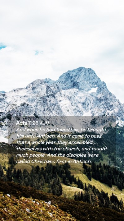 Picture 02 - Acts 11:26 KJV Mobile Phone Wallpaper - And when he had found him, he brought him unto - Mobile Bible Verse Wallpaper