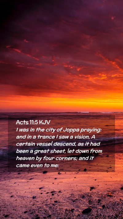 Picture 02 - Acts 11:5 KJV Mobile Phone Wallpaper - I was in the city of Joppa praying: and in a - Mobile Bible Verse Wallpaper