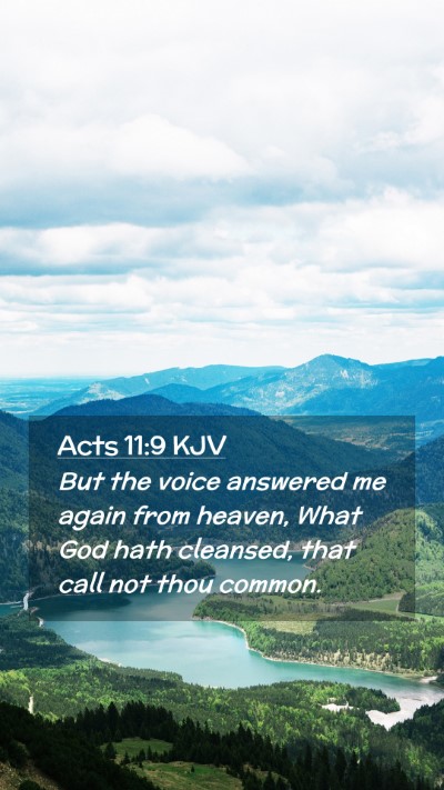 Picture 02 - Acts 11:9 KJV Mobile Phone Wallpaper - But the voice answered me again from heaven, What - Mobile Bible Verse Wallpaper