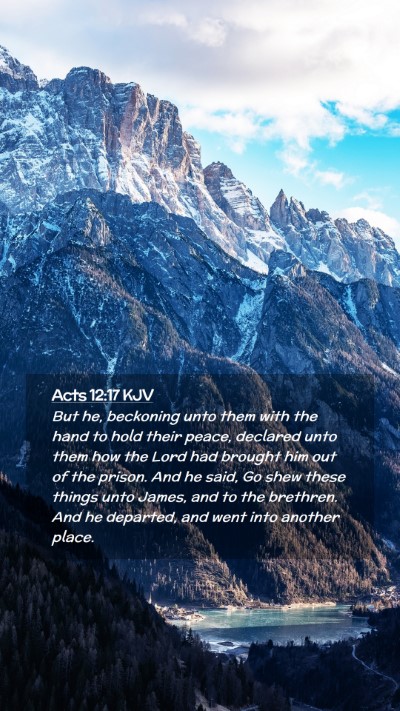 Picture 02 - Acts 12:17 KJV Mobile Phone Wallpaper - But he, beckoning unto them with the hand to hold - Mobile Bible Verse Wallpaper