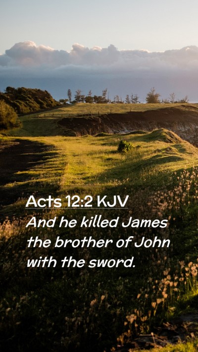 Picture 02 - Acts 12:2 KJV Mobile Phone Wallpaper - And he killed James the brother of John with the - Mobile Bible Verse Wallpaper