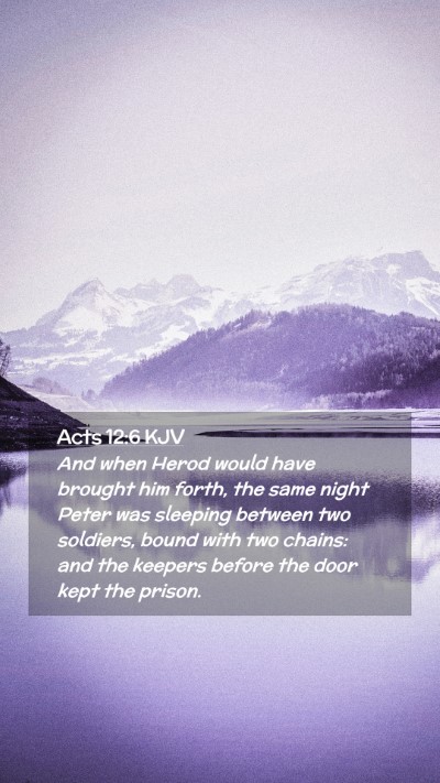 Picture 02 - Acts 12:6 KJV Mobile Phone Wallpaper - And when Herod would have brought him forth, the - Mobile Bible Verse Wallpaper