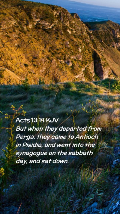 Picture 02 - Acts 13:14 KJV Mobile Phone Wallpaper - But when they departed from Perga, they came to - Mobile Bible Verse Wallpaper