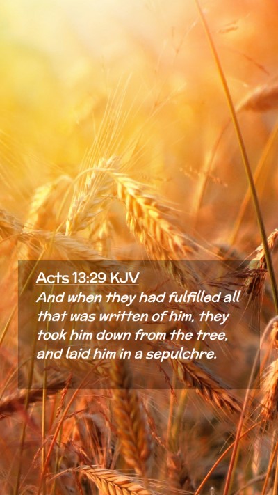Picture 02 - Acts 13:29 KJV Mobile Phone Wallpaper - And when they had fulfilled all that was written - Mobile Bible Verse Wallpaper