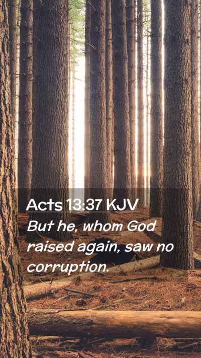 Picture 02 - Acts 13:37 KJV Mobile Phone Wallpaper - But he, whom God raised again, saw no - Mobile Bible Verse Wallpaper