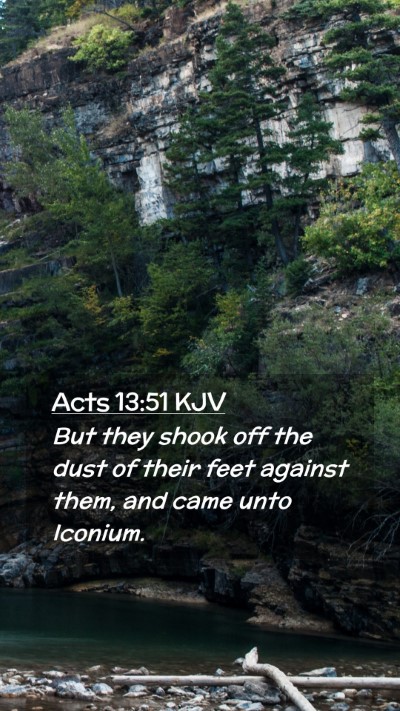 Picture 02 - Acts 13:51 KJV Mobile Phone Wallpaper - But they shook off the dust of their feet against - Mobile Bible Verse Wallpaper
