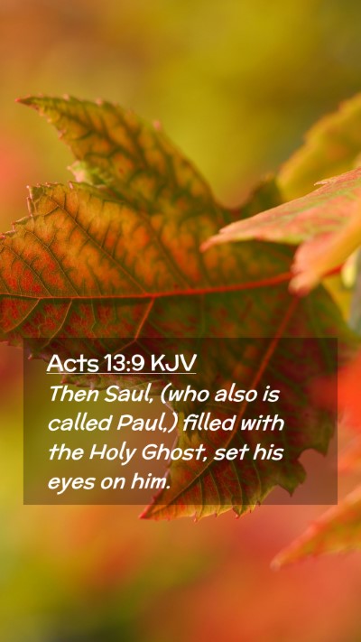 Picture 02 - Acts 13:9 KJV Mobile Phone Wallpaper - Then Saul, (who also is called Paul,) filled with - Mobile Bible Verse Wallpaper