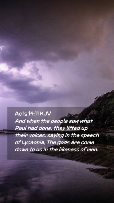 Picture 02 - Acts 14:11 KJV Mobile Phone Wallpaper - And when the people saw what Paul had done, they - Mobile Bible Verse Wallpaper