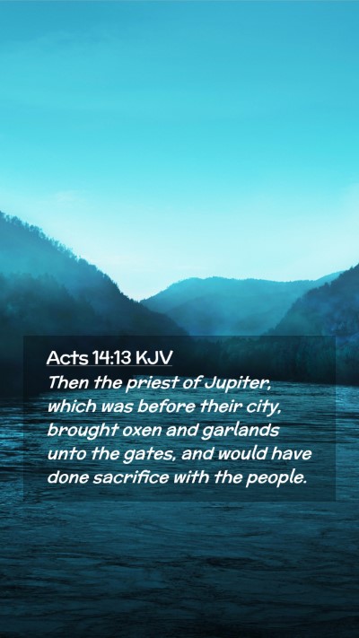 Picture 02 - Acts 14:13 KJV Mobile Phone Wallpaper - Then the priest of Jupiter, which was before - Mobile Bible Verse Wallpaper