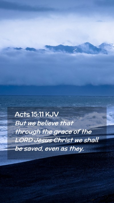Picture 02 - Acts 15:11 KJV Mobile Phone Wallpaper - But we believe that through the grace of the LORD - Mobile Bible Verse Wallpaper